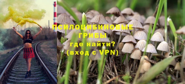 индика Майский